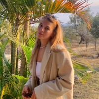 Linse Van Cleemput