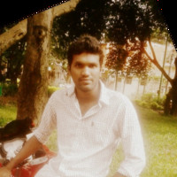 Rajashekar R