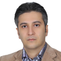 hossein vali
