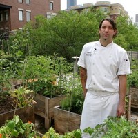 David Dworshak