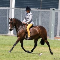 Tania Hay