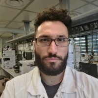 Marco Bruno