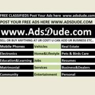 Adsdude In
