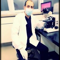 Wael Woochel