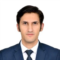 Hassan Ansari