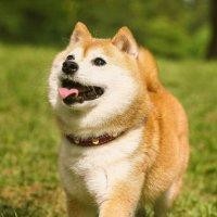 梁彬成