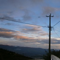 Luis Rosendo Bonilla Guevara