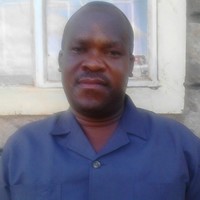 David Kavili