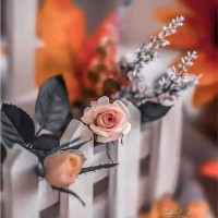 Thamer Bani Sakher