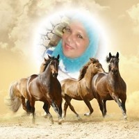hanaa ahmed
