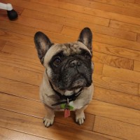Baxter Goldbas