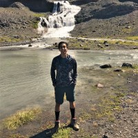 Carlos Alberto Grez Etcheverry