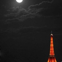 dim dim