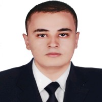 Amr Essam El-Din Aref