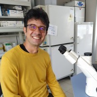 Luciano Castiello