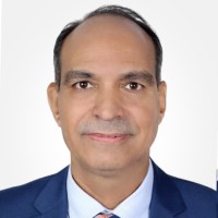 Emad Hassan El-Shafei