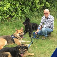 Steve Eversfield MSc MAPM