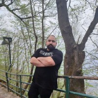 Amirreza Aleshi