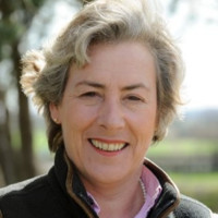 Liz Philip
