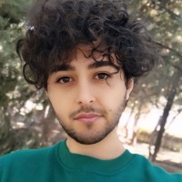 ehsan dashti