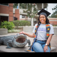 D'Anlyn Eiland