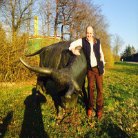 Stephen Hamilton
