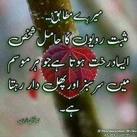 Khalid Mahmood