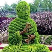 宋晓茜