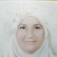 Karima Mansour