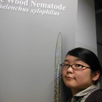 Okumura Etsuko