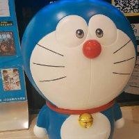 杨利青