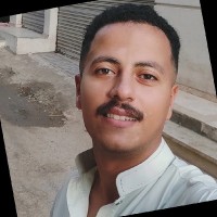 alaa shokry