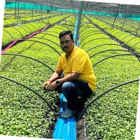 Ramesh K Dinni