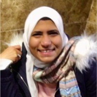 Noha A. Mahdy