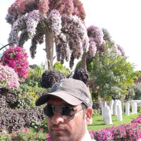 Kaif Khan