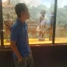 Andi Rivaldi Wirawangsa