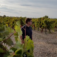 Alfonso Medina Asensio