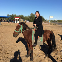 白乌兰