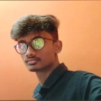 Pushparaj V