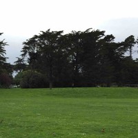 Abdulrahman Baothman