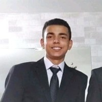 Vinicius De Lima Alves