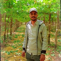 Mostafa Alqabani