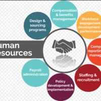 Sam I`M Hiring