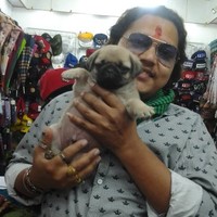 Rajat Rastogi