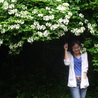 Rong Qi