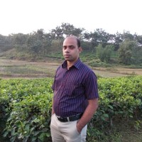 Firoz Hossain