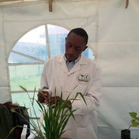 Francis Karanja Kimani