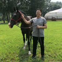毛彦进