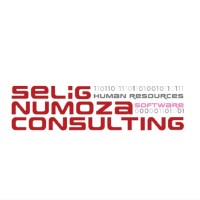Selig Numoza Consulting