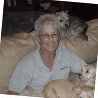 Eileen Schultes